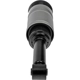 Purchase Top-Quality DORMAN (OE SOLUTIONS) - 949-984 - Air Suspension Air Strut Assembly pa3