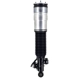 Purchase Top-Quality FCS AUTOMOTIVE - 92017 - Rear Driver Side Air Non-Adjustable Suspension Strut pa4