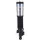 Purchase Top-Quality FCS AUTOMOTIVE - 92018 - Air Suspension Strut pa3