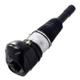 Purchase Top-Quality FCS AUTOMOTIVE - 92021 - Front Driver Side Air Non-Adjustable Suspension Strut pa3