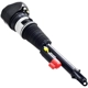 Purchase Top-Quality FCS AUTOMOTIVE - 92022 - Air Suspension Strut pa4