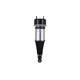 Purchase Top-Quality FCS AUTOMOTIVE - 92039 - Air Suspension Strut pa1