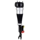 Purchase Top-Quality FCS AUTOMOTIVE - 92043 - Front Driver Side Air Non-Adjustable Suspension Strut pa1