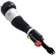 Purchase Top-Quality FCS AUTOMOTIVE - 92044 - Front Passenger Side Air Non-Adjustable Suspension Strut pa2