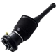 Purchase Top-Quality FCS AUTOMOTIVE - 93006 - Air Suspension Strut pa4