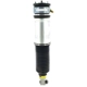 Purchase Top-Quality FCS AUTOMOTIVE - 99019 - Rear Driver Side Air Non-Adjustable Suspension Strut pa1