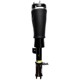 Purchase Top-Quality FCS AUTOMOTIVE - 99041 - Front Driver Side Air Non-Adjustable Suspension Strut pa1