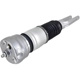 Purchase Top-Quality FCS AUTOMOTIVE - 99077 - Air Suspension Strut pa1