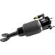 Purchase Top-Quality Suspension Air Strut by UNITY AUTOMOTIVE - 18150002 pa1