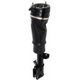 Purchase Top-Quality Suspension Air Strut by UNITY AUTOMOTIVE - 18172002 pa2