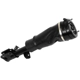 Purchase Top-Quality Suspension Air Strut by UNITY AUTOMOTIVE - 18172002 pa3