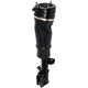 Purchase Top-Quality Suspension Air Strut by UNITY AUTOMOTIVE - 18172002 pa4