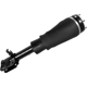 Purchase Top-Quality Suspension Air Strut by UNITY AUTOMOTIVE - 18174002 pa1