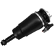 Purchase Top-Quality UNITY AUTOMOTIVE - 18560000 - Rear Driver or Passenger Side Non-Electronic Air Complete Strut Assembly pa1