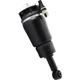 Purchase Top-Quality UNITY AUTOMOTIVE - 18560000 - Rear Driver or Passenger Side Non-Electronic Air Complete Strut Assembly pa2