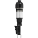 Purchase Top-Quality UNITY AUTOMOTIVE - 28-112701 - Front Driver Side Electronic Air Complete Strut Assembly pa2