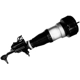 Purchase Top-Quality Suspension Air Strut by UNITY AUTOMOTIVE - 28113702 pa1