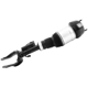 Purchase Top-Quality Suspension Air Strut by UNITY AUTOMOTIVE - 28-117001 pa1