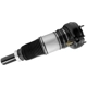 Purchase Top-Quality Suspension Air Strut by UNITY AUTOMOTIVE - 28130100 pa1