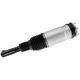 Purchase Top-Quality Suspension Air Strut by UNITY AUTOMOTIVE - 28-176002 pa1