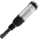 Purchase Top-Quality Suspension Air Strut by UNITY AUTOMOTIVE - 28-176002 pa2