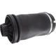 Purchase Top-Quality Suspension Air Strut by VEMO - V30-500008-1 pa5