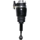 Purchase Top-Quality Suspension Air Strut by WESTAR INDUSTRIES - AS7314 pa1