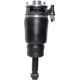 Purchase Top-Quality Suspension Air Strut by WESTAR INDUSTRIES - AS7315 pa1