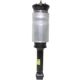 Purchase Top-Quality Suspension Air Strut by WESTAR INDUSTRIES - AS7328 pa1