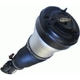 Purchase Top-Quality Suspension Air Strut by WESTAR INDUSTRIES - AS7333 pa1