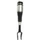 Purchase Top-Quality WESTAR INDUSTRIES - AS7370 - Suspension Air Strut pa1