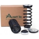 Purchase Top-Quality Suspension Conversion Kit by ARNOTT - C2180 pa2