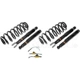 Purchase Top-Quality Suspension Conversion Kit by DORMAN (OE SOLUTIONS) - 949-527 pa9