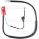 Purchase Top-Quality Switch To Starter Cable by BLUE STREAK (HYGRADE MOTOR) - A41-2DF pa2