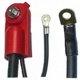 Purchase Top-Quality Switch To Starter Cable by BLUE STREAK (HYGRADE MOTOR) - A60-2DA pa6