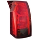 Purchase Top-Quality Tail Light Assembly by DORMAN - 1611308 pa2