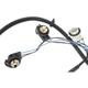 Purchase Top-Quality Tail Light Harness by ACDELCO - 16531402 pa2