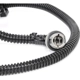 Purchase Top-Quality Tail Light Harness by ACDELCO - 23141279 pa2