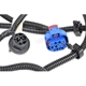 Purchase Top-Quality Tail Light Harness by ACDELCO - 23141279 pa3