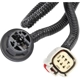 Purchase Top-Quality Tail Light Harness by ACDELCO - 23295977 pa2