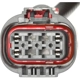 Purchase Top-Quality BLUE STREAK (HYGRADE MOTOR) - S2621 - Right Tail Light Connector pa7