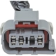 Purchase Top-Quality Tail Light Harness by BLUE STREAK (HYGRADE MOTOR) - S2631 pa2