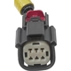 Purchase Top-Quality Tail Light Harness by BLUE STREAK (HYGRADE MOTOR) - S2635 pa3