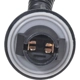 Purchase Top-Quality Tail Light Harness by BWD AUTOMOTIVE - PT2635 pa3