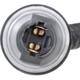 Purchase Top-Quality Tail Light Harness by BWD AUTOMOTIVE - PT2640 pa3
