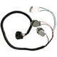 Purchase Top-Quality SKP - SK904028 - Tail Light Harness pa1