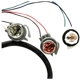 Purchase Top-Quality SKP - SK904028 - Tail Light Harness pa3