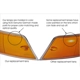 Purchase Top-Quality Tail Light Lens by URO - 91163192303 pa5