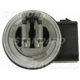 Purchase Top-Quality Prise de lumière arrière de BLUE STREAK (HYGRADE MOTOR) - S2054 pa11