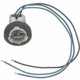 Purchase Top-Quality Tail Light Socket by BLUE STREAK (HYGRADE MOTOR) - S548 pa25